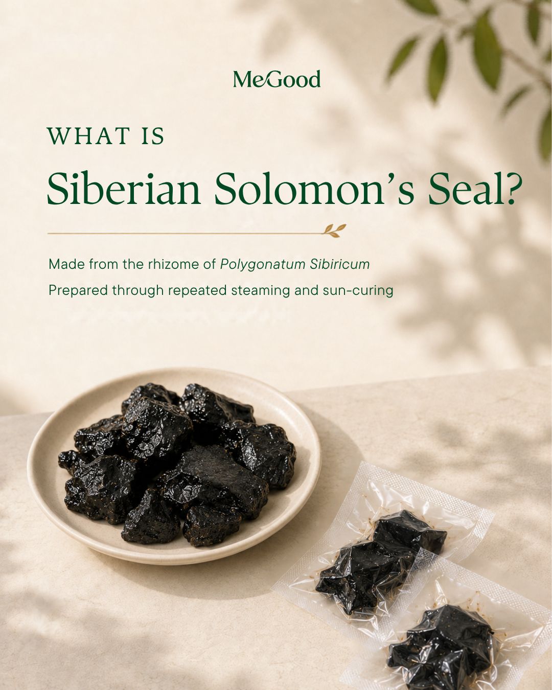 Siberian Solomon's Seal